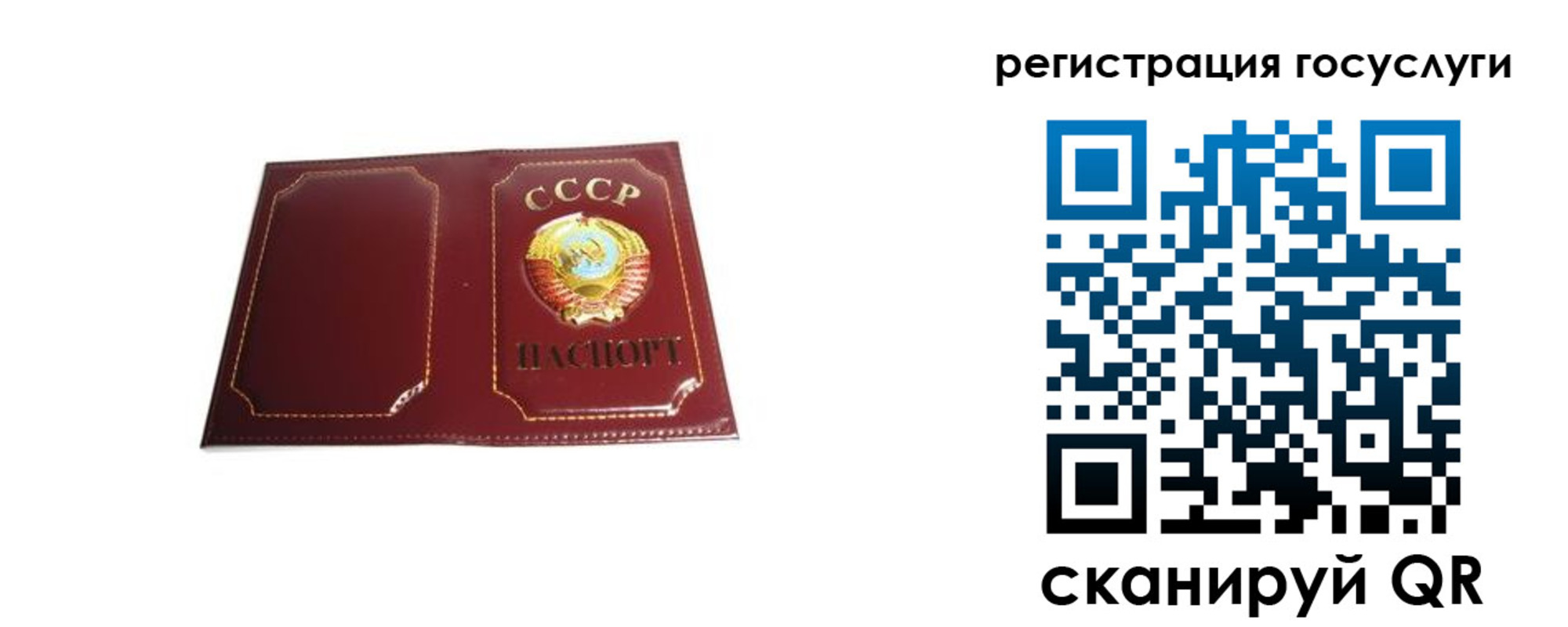 временная регистрация для школы в Ростове-на-Дону